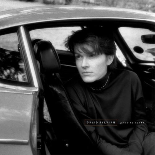 2LP / Sylvian David / Gone To Earth / Colured / Vinyl / 2LP