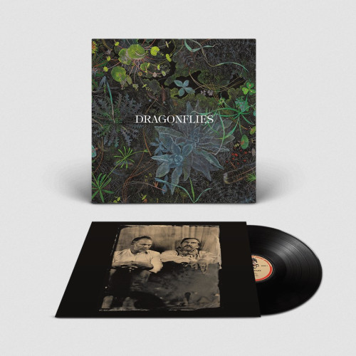 LP / Dragonflies / Dragonflies / Vinyl