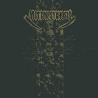 LPMetamorphosis / Metamorphosis / Vinyl