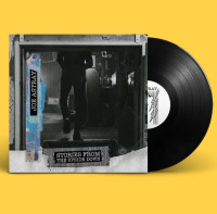LPAstray Joe / Stories From The Upside Down / Vinyl