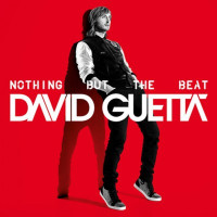 2LPGuetta David / Nothing But The Beat / Vinyl / 2LP