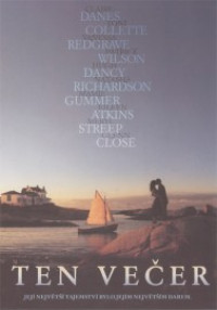DVDFILM / Ten ve�er / Evening
