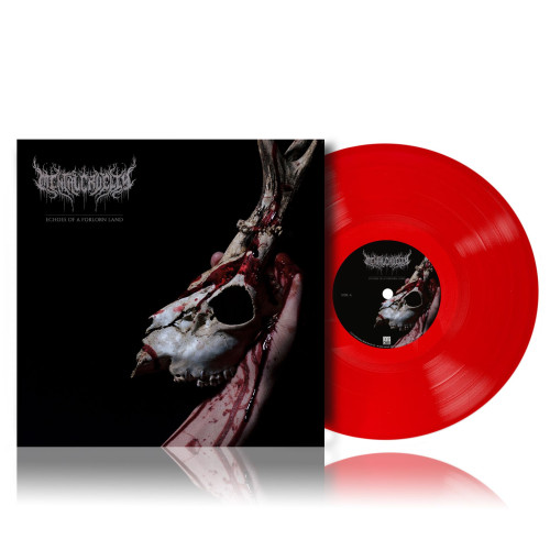CD / Mental Cruelty / Echoes of a Forlorn Land / Red / Vinyl