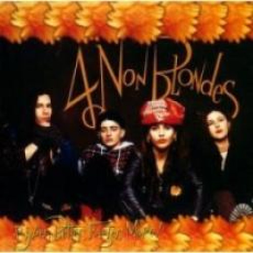 CD / 4 Non Blondes / Bigger,Better,Faster,More!