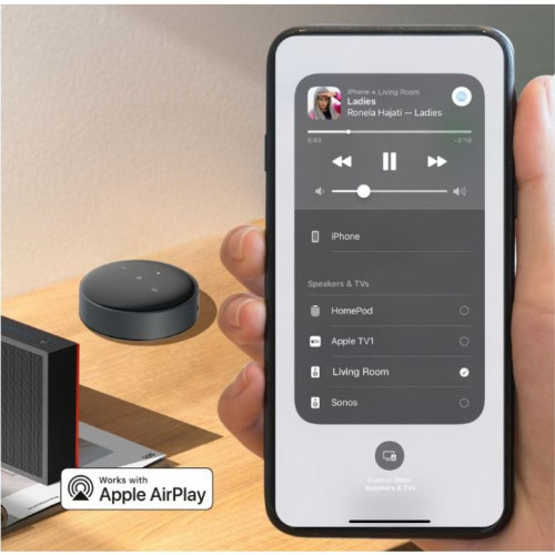 HIFI / HIFI / Streamer / WiiM Mini / Black