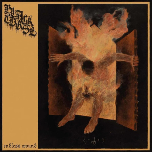 CD / Black Curse / Endless Wound / Digipack