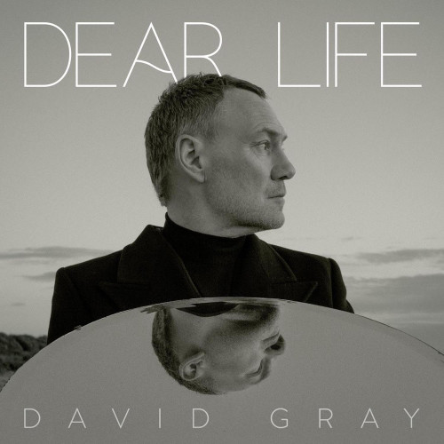 2LP / Gray David / Dear Life / Vinyl / 2LP