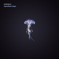 CDYobrepus / Mycelium Days