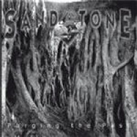 CDSandstone / Purging The Past