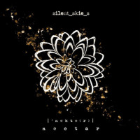 CDSilent Skies / Nectar / Digisleeve