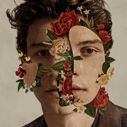 CD / Mendes Shawn / Shawn Mendes