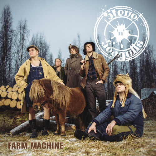 LP / Steve'n'seagulls / Farm Machine / Vinyl