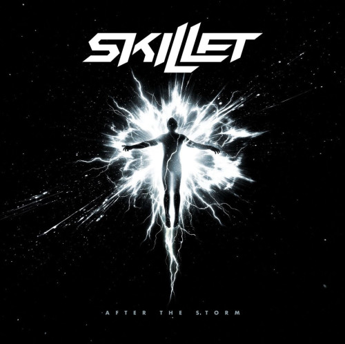 LP / Skillet / After The Storm / Vinyl