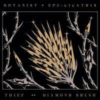 CDBotanist/Thief / Cicatrix / Diamond Brush / Split / Digipack