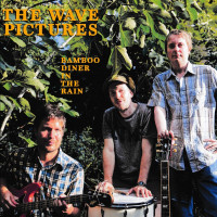 LPWave Pictures / Bamboo Diner In The Rain / Vinyl
