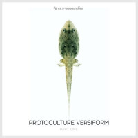 CDProtoculture / Versiform, Pt.1