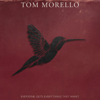 LPMorello Tom / Everyone Gets Everything They Want / Red / Vinyl