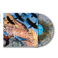 2LPIntronaut / Prehistoricisms / Clear Splatter / Vinyl / 2LP