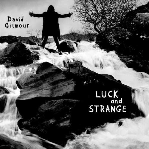 LP / Gilmour David / Luck and Strange / Sea Blue / Vinyl