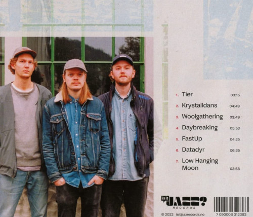 CD / Datadyr / Woolgathering