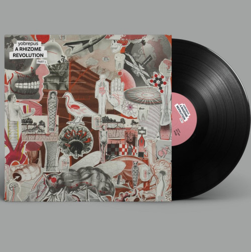 LP / Yobrepus / Rhizome Revolution Part 1 / Vinyl