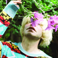 2LPBurgess Tim / Typical Music / Coloured / Vinyl / 2LP