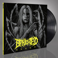 LPBenighted / Ekbom / Vinyl