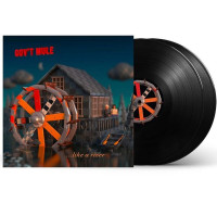 2LPGov't Mule / Peace...Like A River / Vinyl / 2LP