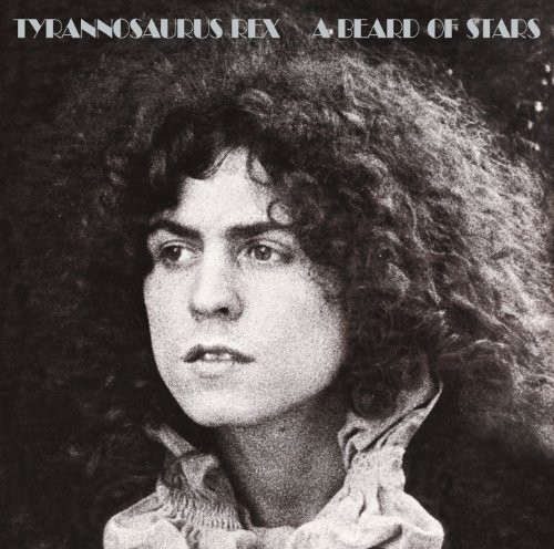 CD / T.Rex / A Beard Of Stars