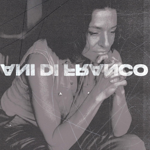 LP / DiFranco Ani / Unprecedented Sh!t / Coloured / Vinyl
