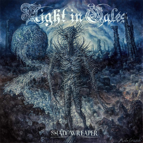 LP / Night In Gales / Shadowreaper / Vinyl