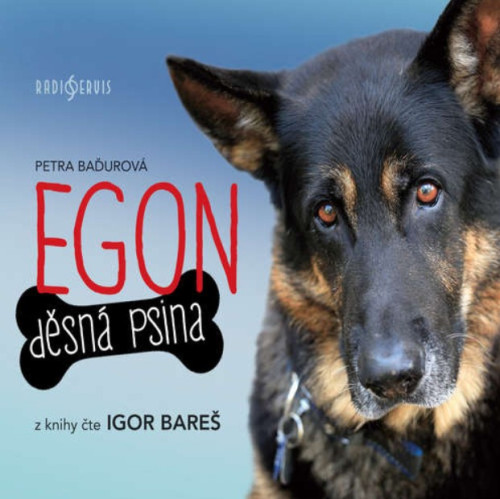 CD / Ba�urov� Petra / Egon:D�sn� psina / Igor Bare� / Mp3
