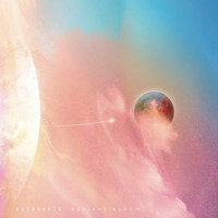LPAstronoid / Radiant Bloom / Vinyl