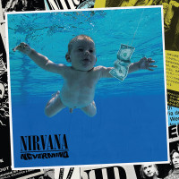 2CDNirvana / Nevermind / Deluxe / Anniversary Edition / 2CD
