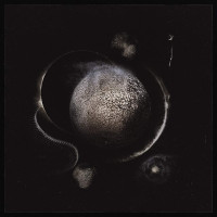 CDEnthroned / Cold Black Suns / Digipack