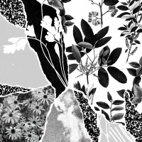 LPPonctuation / Mon Herbier Du Monde Entier / Vinyl