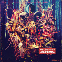 CDRed Fang / Whales And Leeches / Digipack