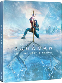 UHD4kBDBlu-ray film /  Aquaman a ztracen� kr�lovstv� / Steelbook / UHD+Blu-Ray