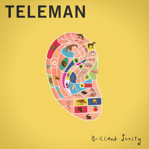 CD / Teleman / Briliant Sanity