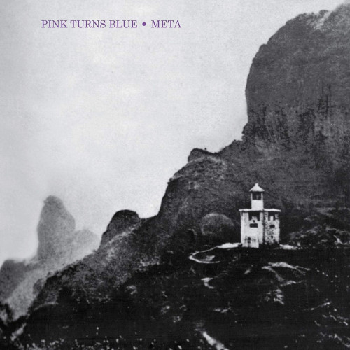 LP / Pink Turns Blue / Meta / Vinyl