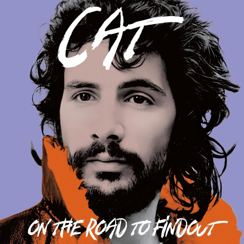 2LP / Yusuf/Cat Stevens / On The Road to Findout / Best Of / Vinyl / 2LP