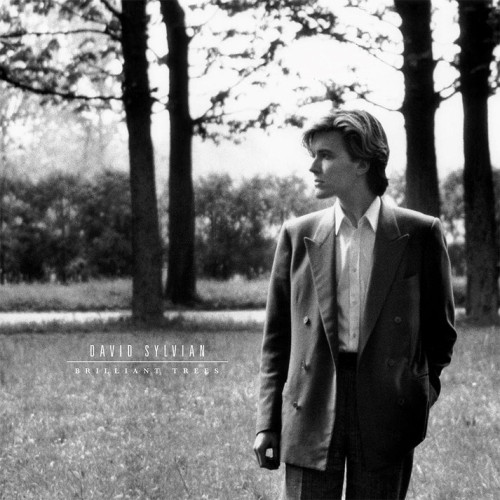 LP / Sylvian David / Brilliant Trees / Coloured / Vinyl