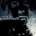 CDAnother Life / Memories From Nothing