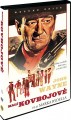 DVDFILM / Mal� kovbojov� / The Cowboys