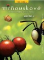 DVDFILM / Mr�ouskov�:Sez�na 2 / DVD 7