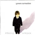 CDGreen Carnation / A Blessing In Disquise