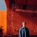 LPMartin Ivo / Puls / Vinyl