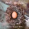 3LPSoul Asylum / Hurry Up And Wait / Vinyl / 2LP+7"