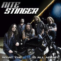 CDNite Stinger / What The Nite Is All About