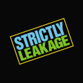 2LPAtmosphere / Strictly Leakage / Vinyl / 2LP